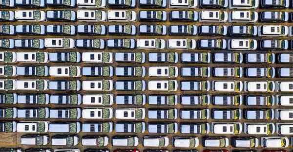 仪陇新闻_仪陇新闻头条