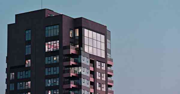 仪陇新闻最新_仪陇新闻最新消息今天