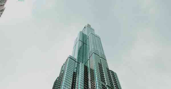 芒果宣传片制作公司