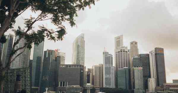 怎么制作宣传小手册_怎么制作宣传广告录音