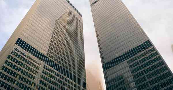 保护动物宣传片制作_保护动物宣传片40秒