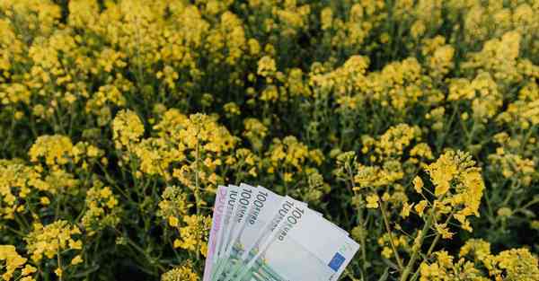 人物宣传片视频制作