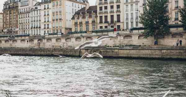 教育培训机构简介_教育培训机构简介介绍