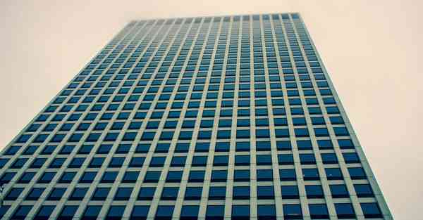 保护动物宣传片小学生_保护动物宣传片双语