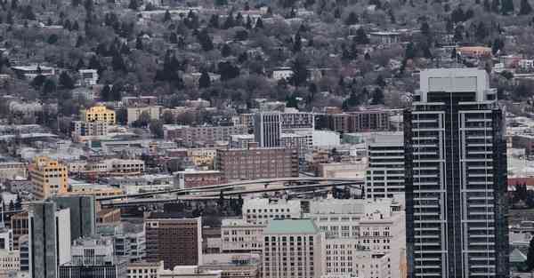 新校区选址在哪_新校区选址攻略