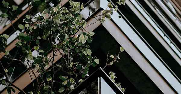 基层宣传片制作教程